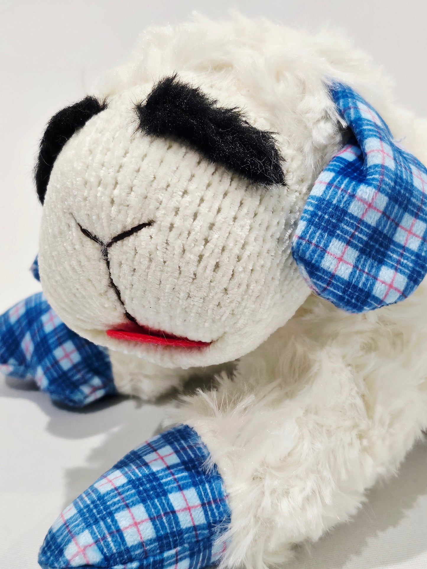 Lambie
